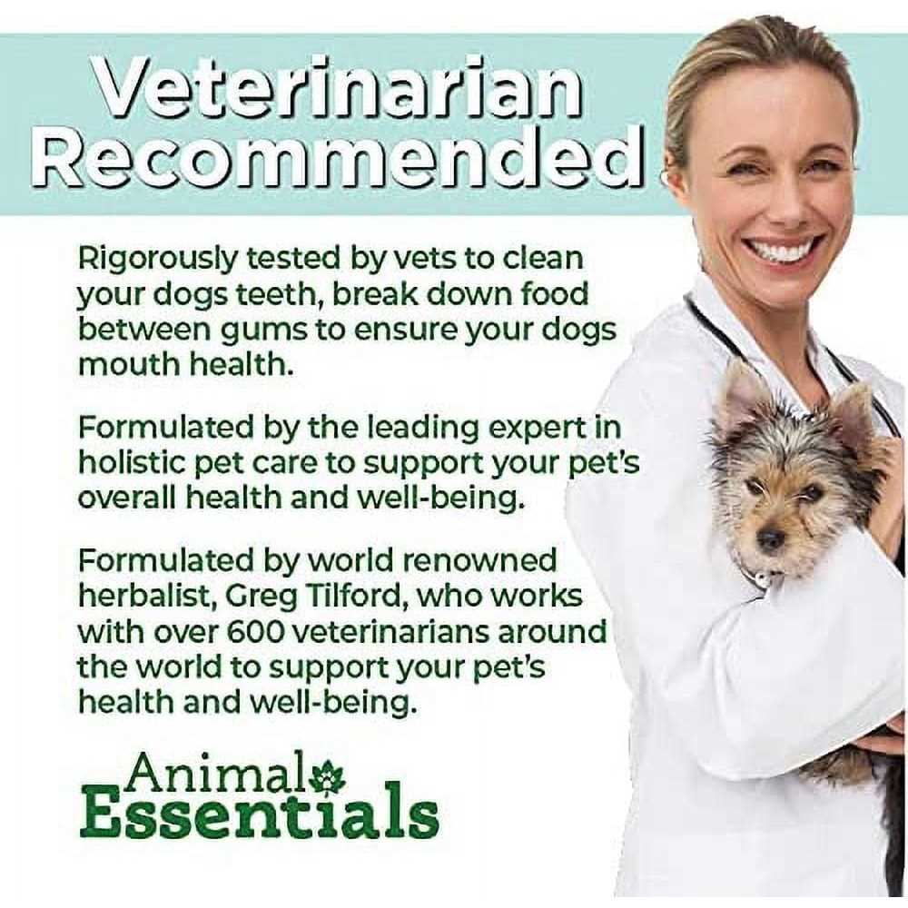 Senior Support Pet Supplies C8744