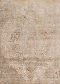 Desert Rug 7'10 x 10'10 Z487