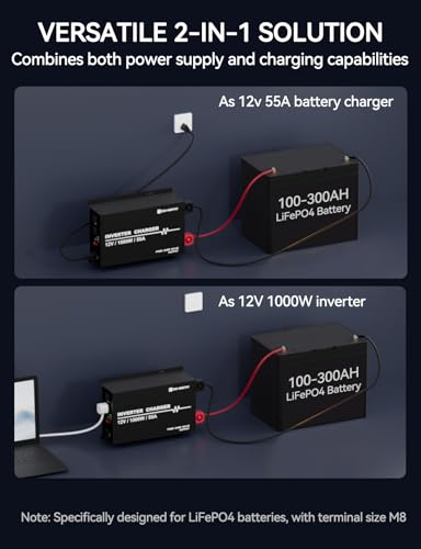 1000W Pure Sine Wave Inverter Charger E6185