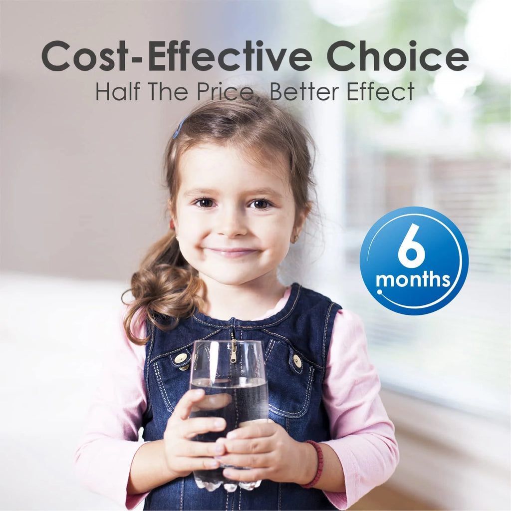 Water Filter Replacement 3 Pack P2728