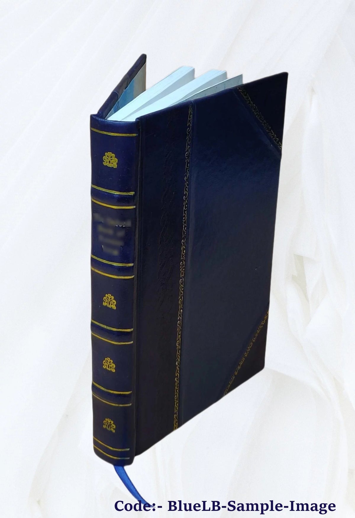 Leather Bound Book V41229