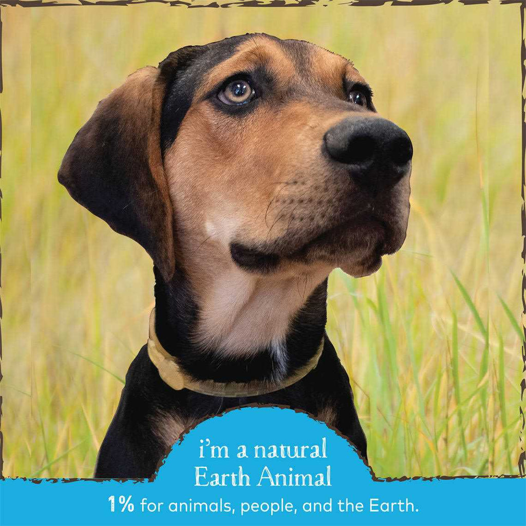Herbal Flea Tick Collar for Dogs S243882
