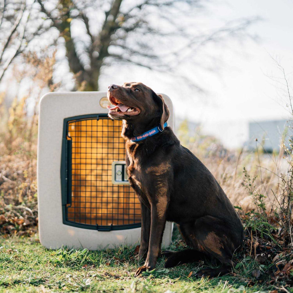 Framed Door Kennel Q359291