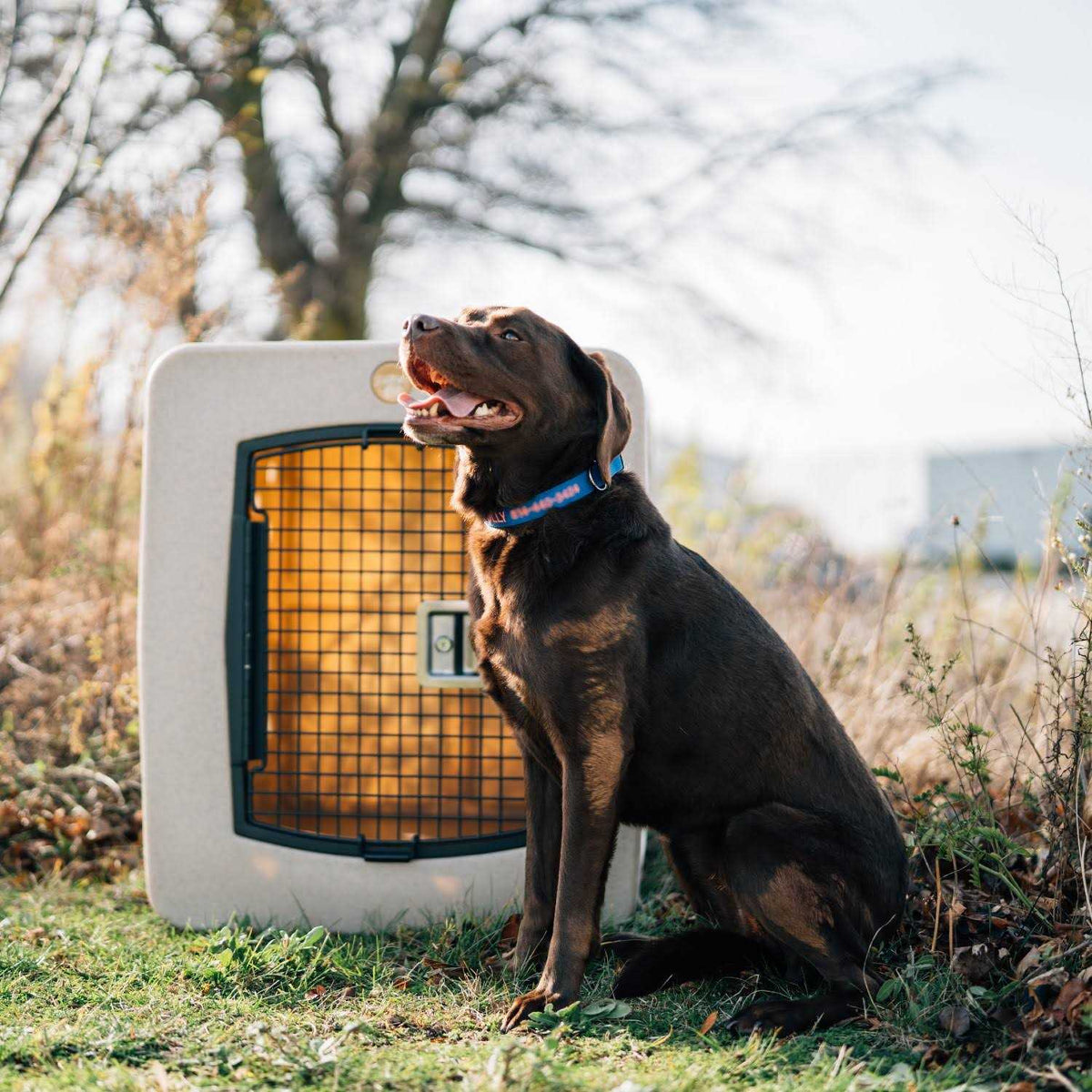 Framed Door Kennel Q359291