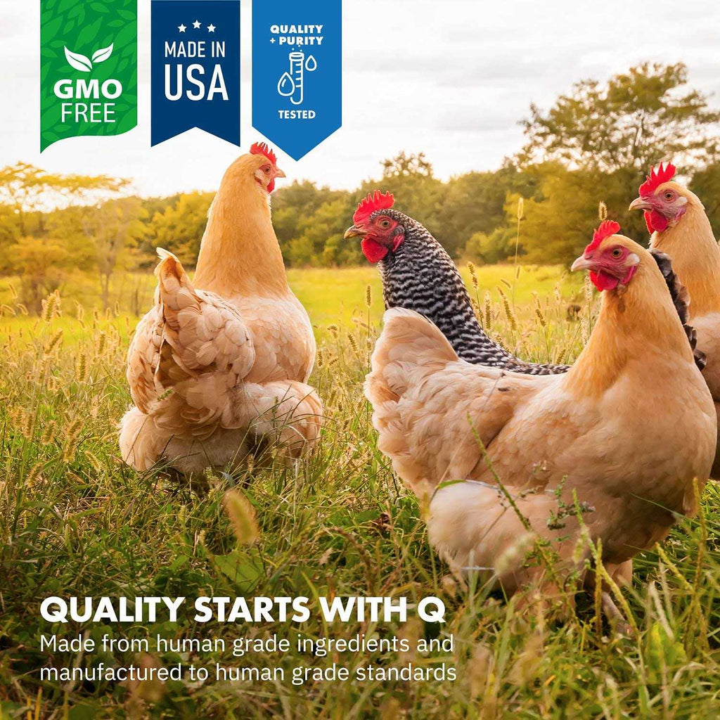 Probiotics for Chickens & Poultry O17847