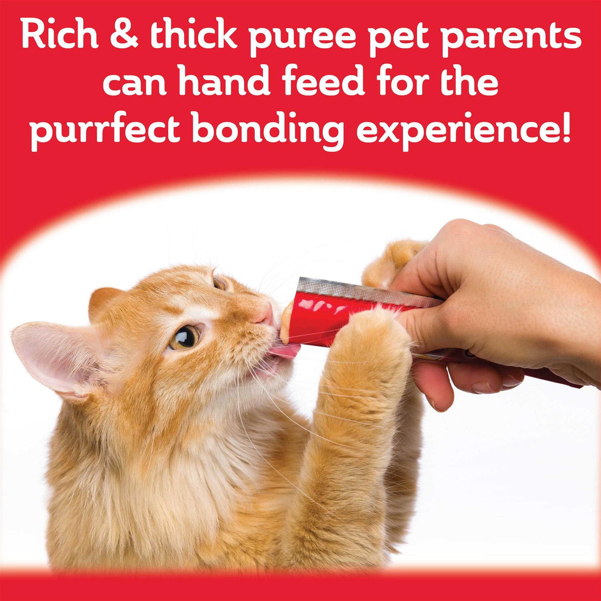 Squeeze Up Cat Treats Variety Pack F7327