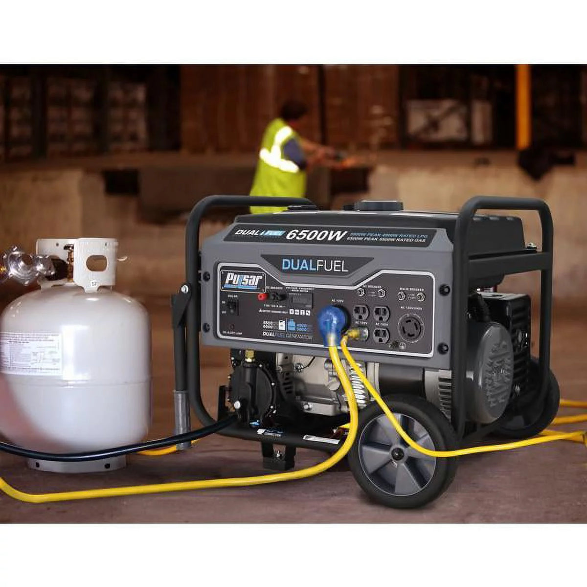 Heavy Duty Portable Dual Fuel Generator, 12,000 Watt G481