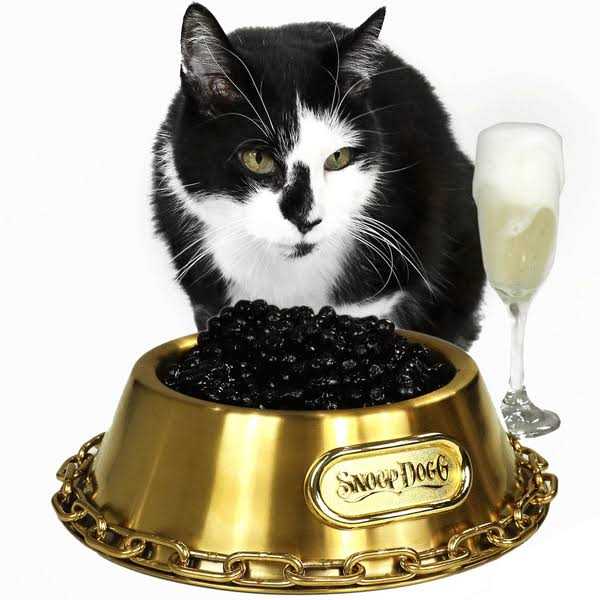 Pet Bowl L187403