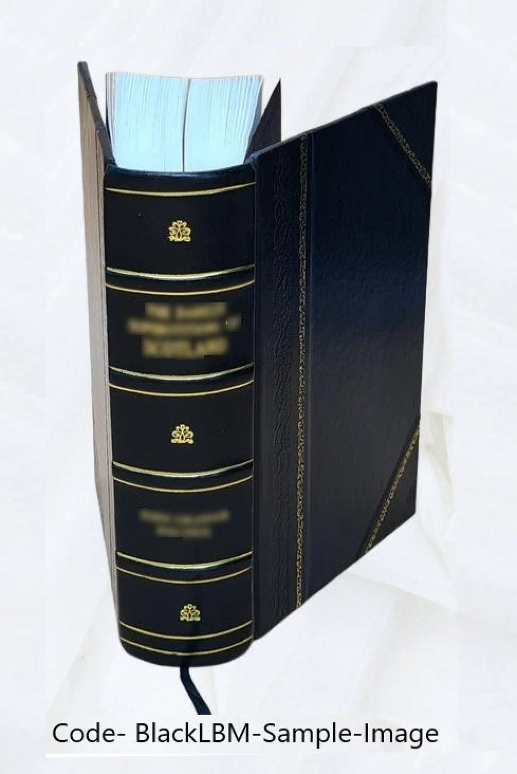 Leather Bound Mollusca Catalog V4894