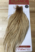 Silver Cape Medium Ginger U743495