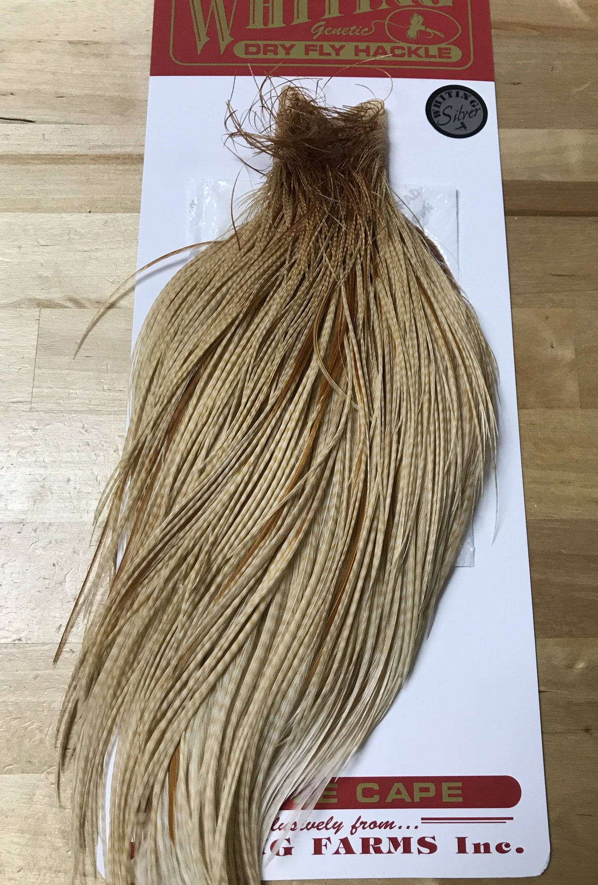 Silver Cape Medium Ginger U743495