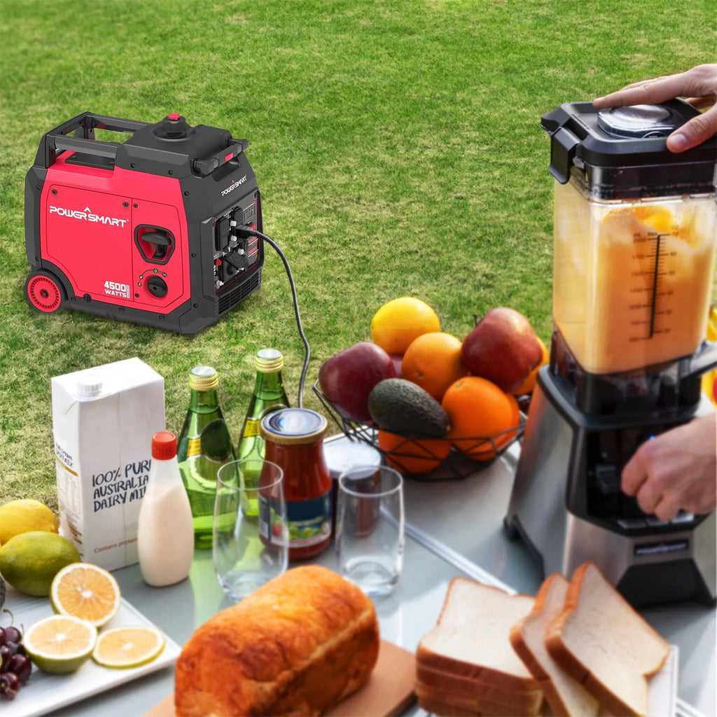 4500 Watt Portable Inverter Gas Generator E6061