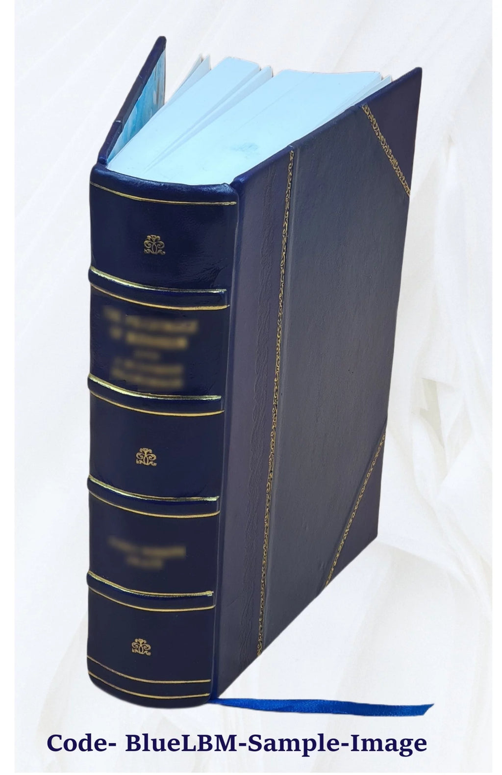 Leather Bound Mollusca Catalog V4894