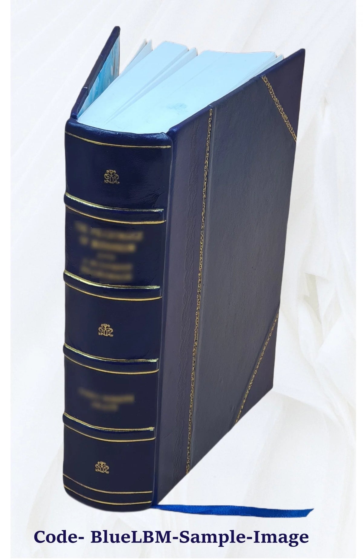 Leather Bound Mollusca Catalog V4894