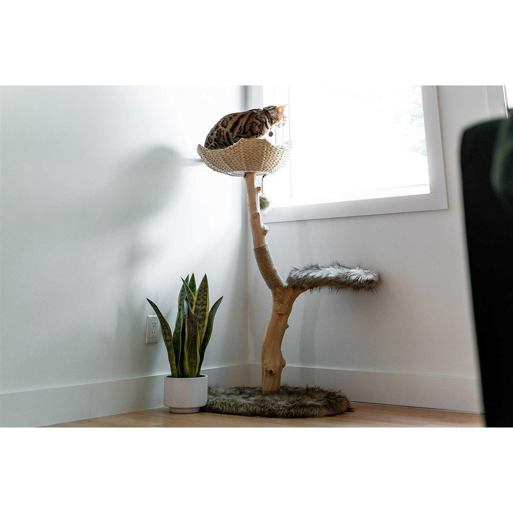 Cat Tree U4943