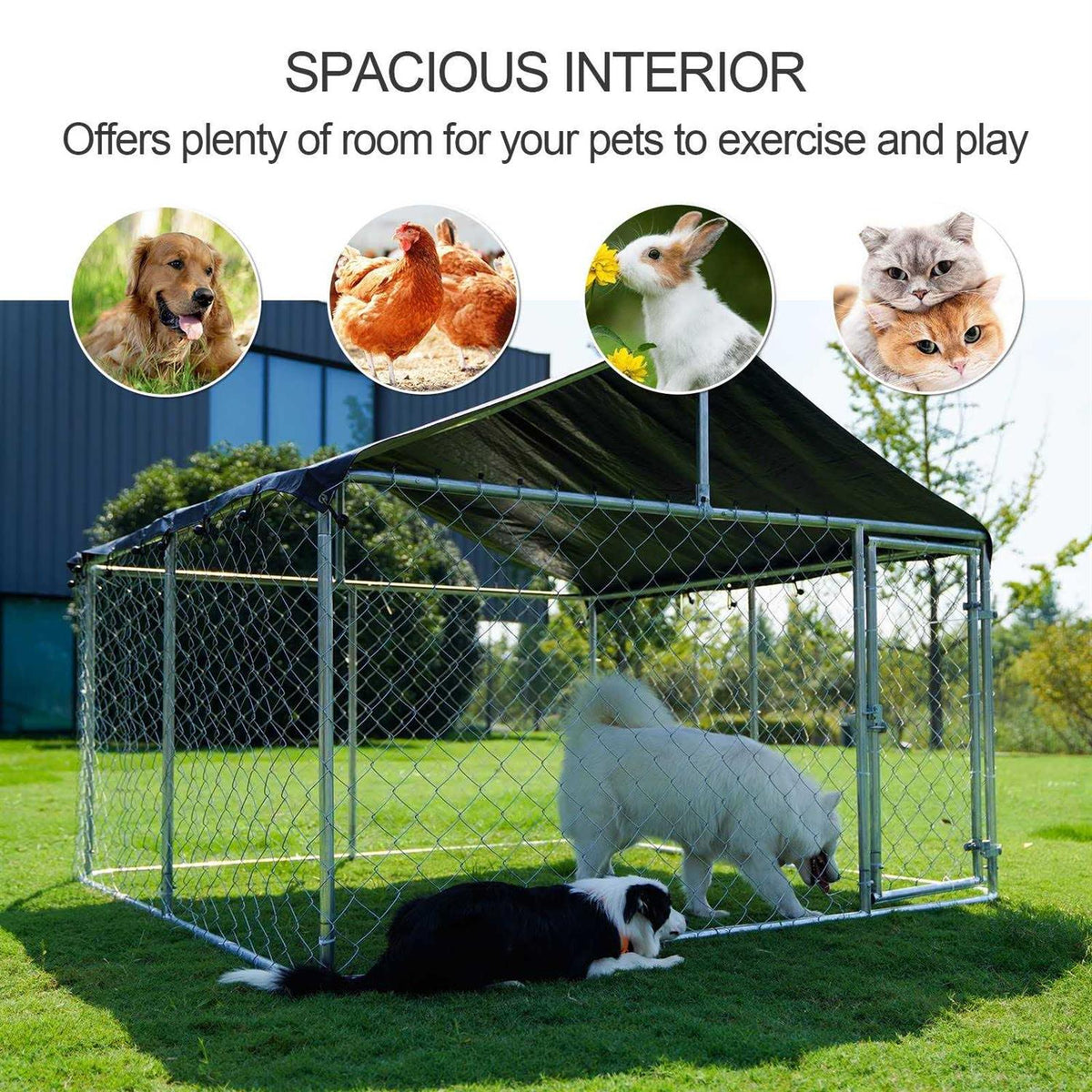 Outdoor Dog Kennel Heavy Duty with Galvanized Chain Link H324844