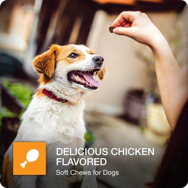 Hip & Joint Chews for Dogs X464425