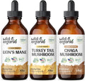 Lion's Mane, Turkey Tail & Chaga Mushroom Tinctures A903978