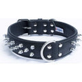 Dog Collar P200