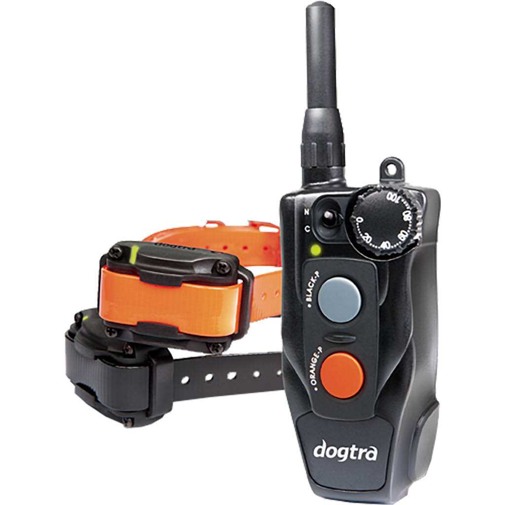 Remote Training Collar 2-Dog G8364
