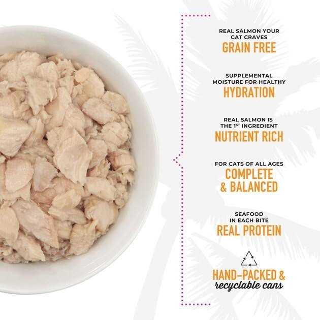 Wild Salmon Cat Food B549428