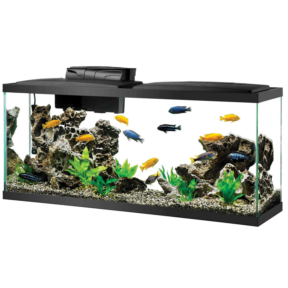 Standard Aquarium P2015