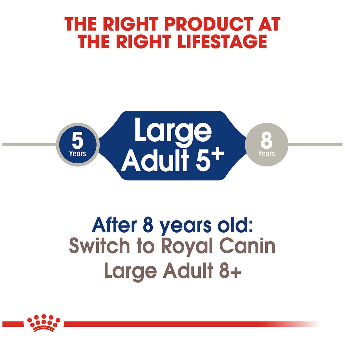 Large Adult Dry Dog Food E69807