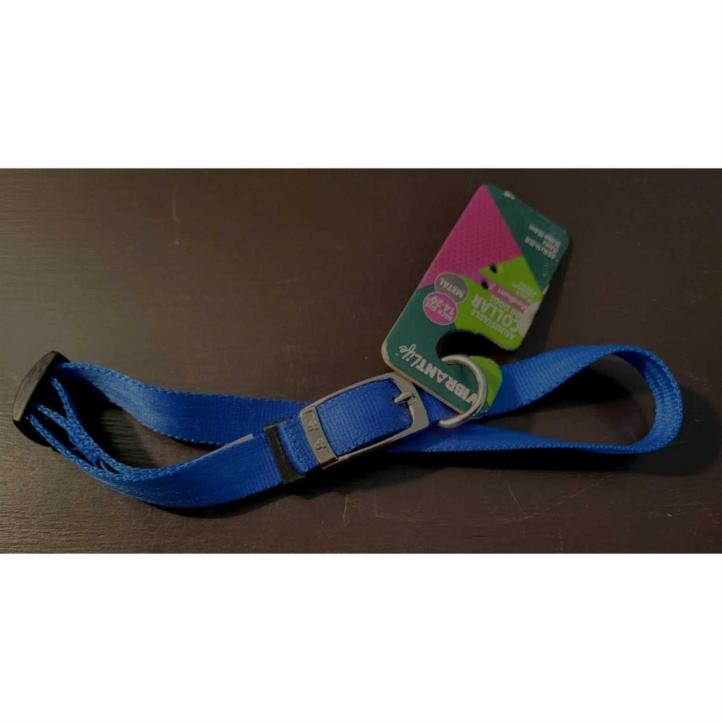 Solid Dog Collar with Metal Buckle Q77256
