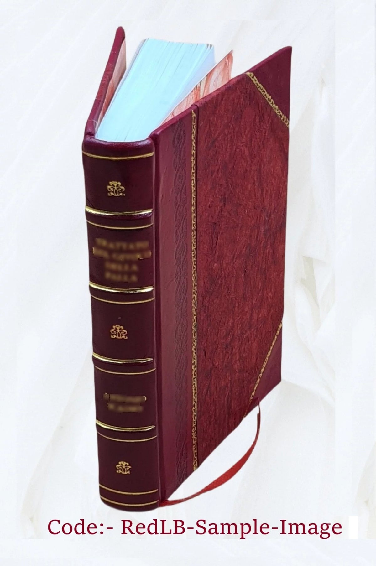 Leather Bound Book V41229