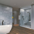 Matte Black Frameless Hinged Shower Door C643315