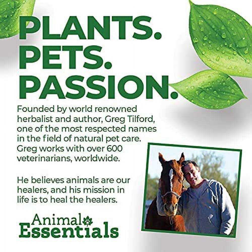 Senior Support Pet Supplies C8744