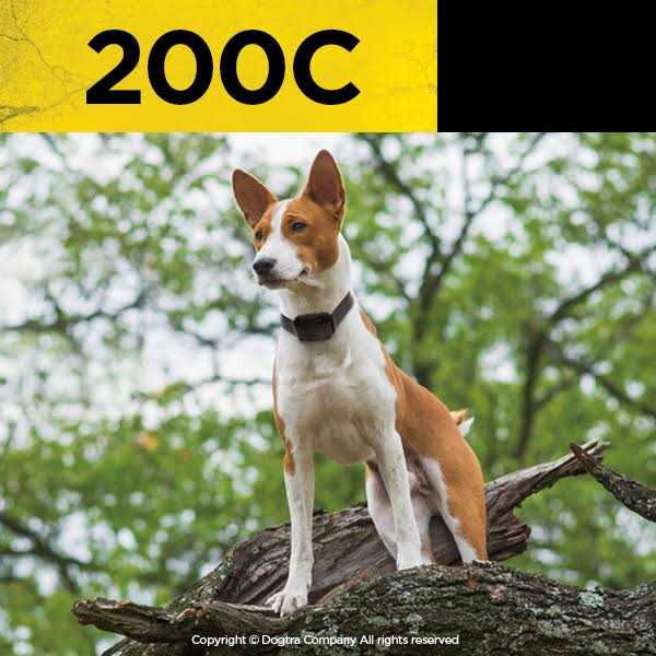 Remote Training Collar 2-Dog G8364