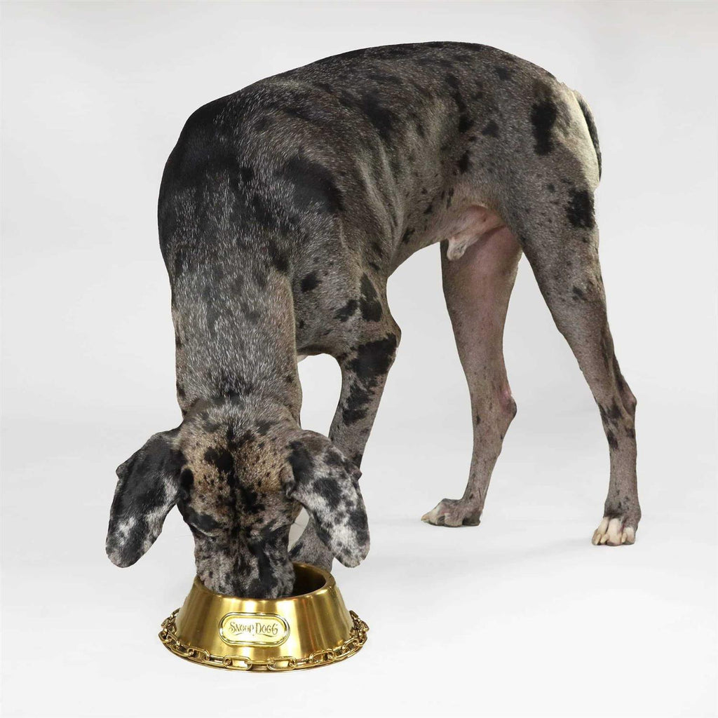 Pet Bowl L187403