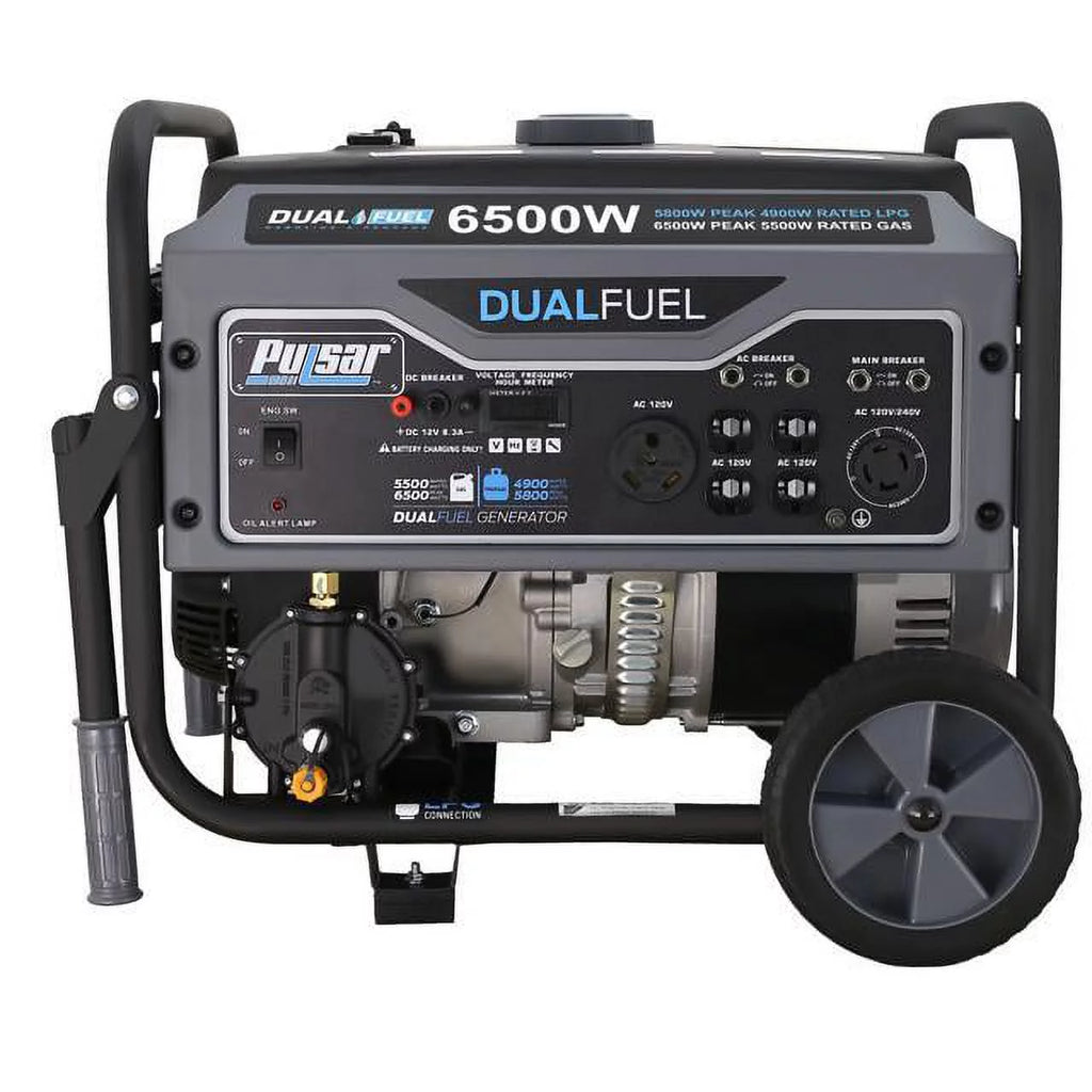 Heavy Duty Portable Dual Fuel Generator, 12,000 Watt G481