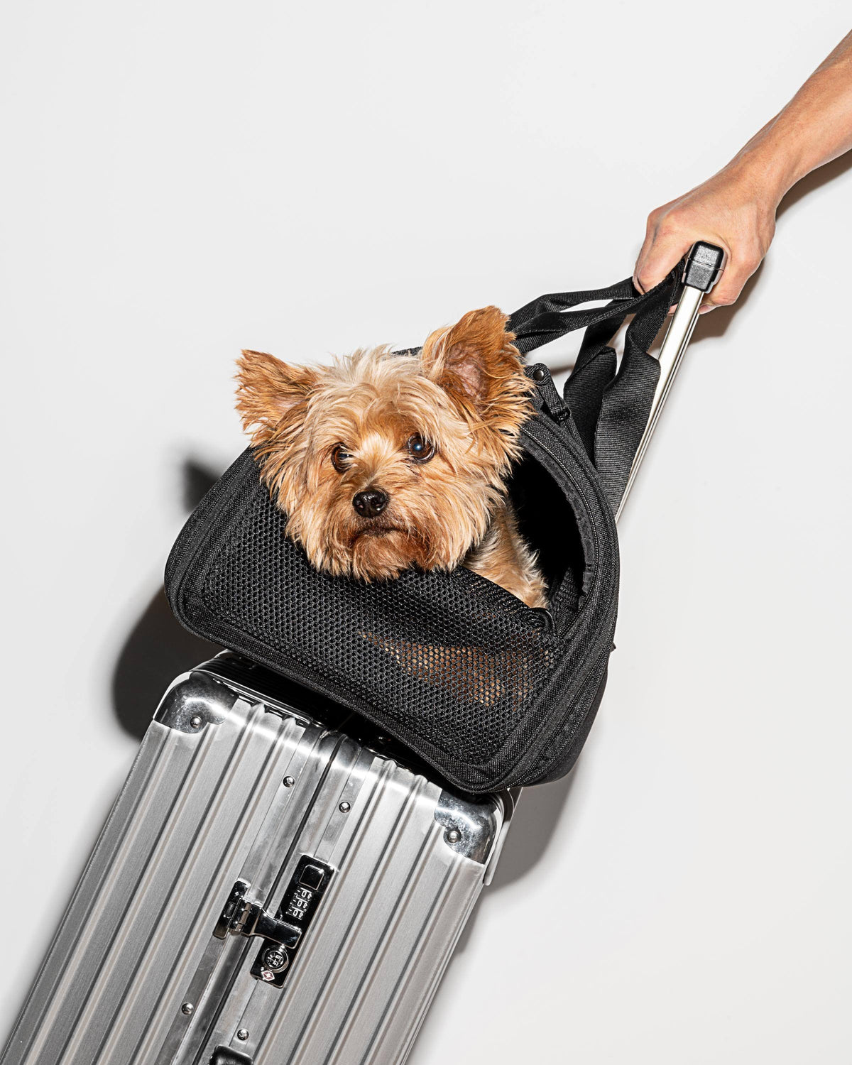 Green Travel Carrier J459614