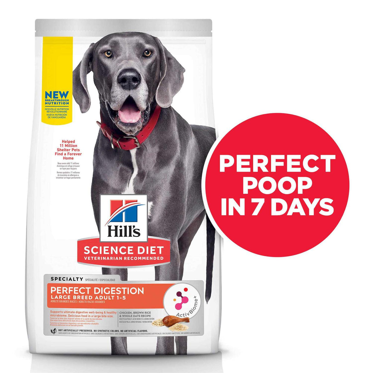 Chicken Dry Dog Food K67669