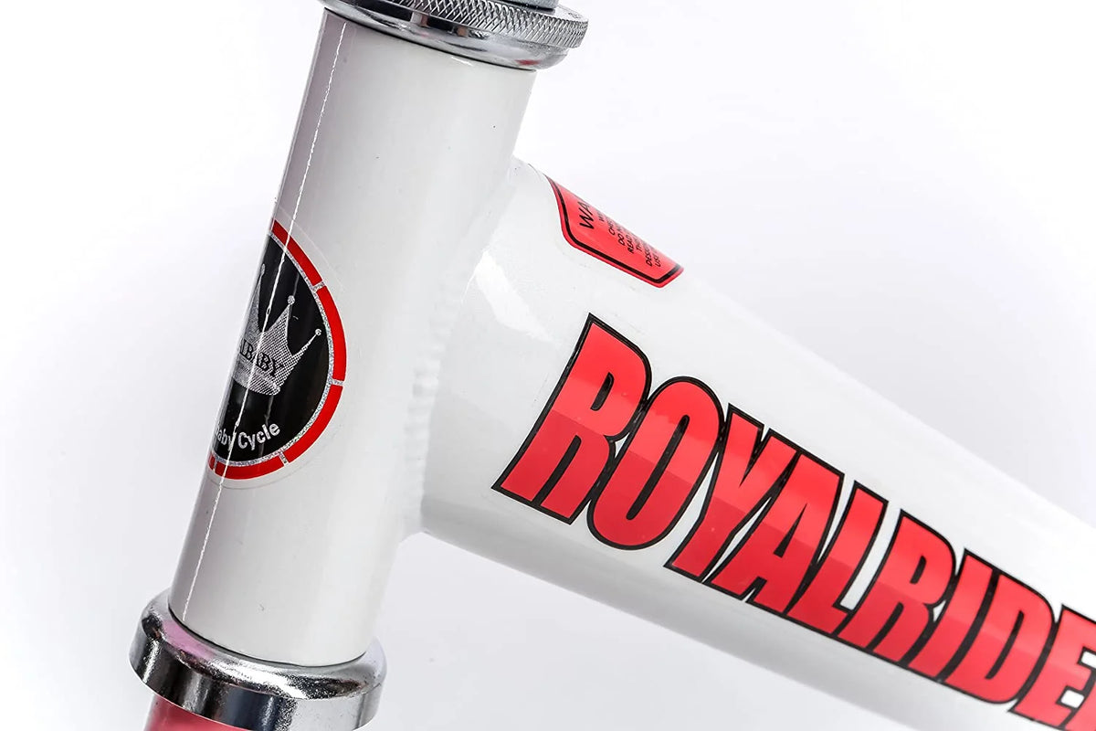 20 inch Girl's Bicycle X2675