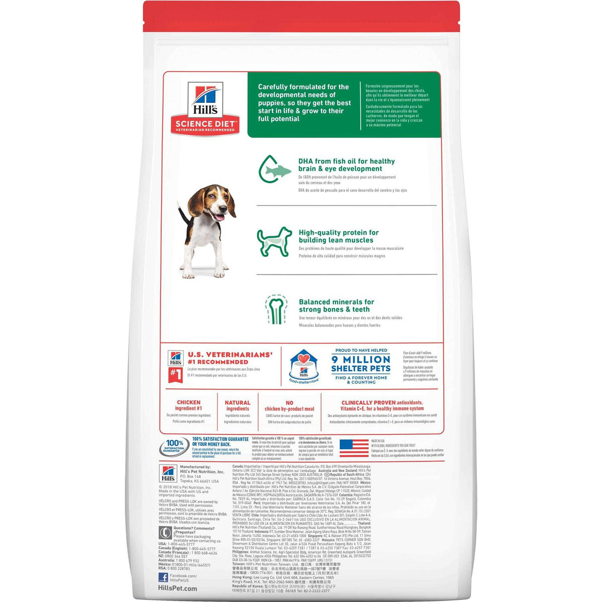 Chicken Dry Dog Food V141