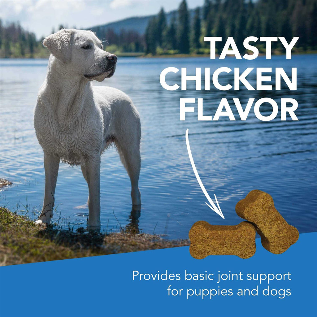 Pet Supplies Y667776