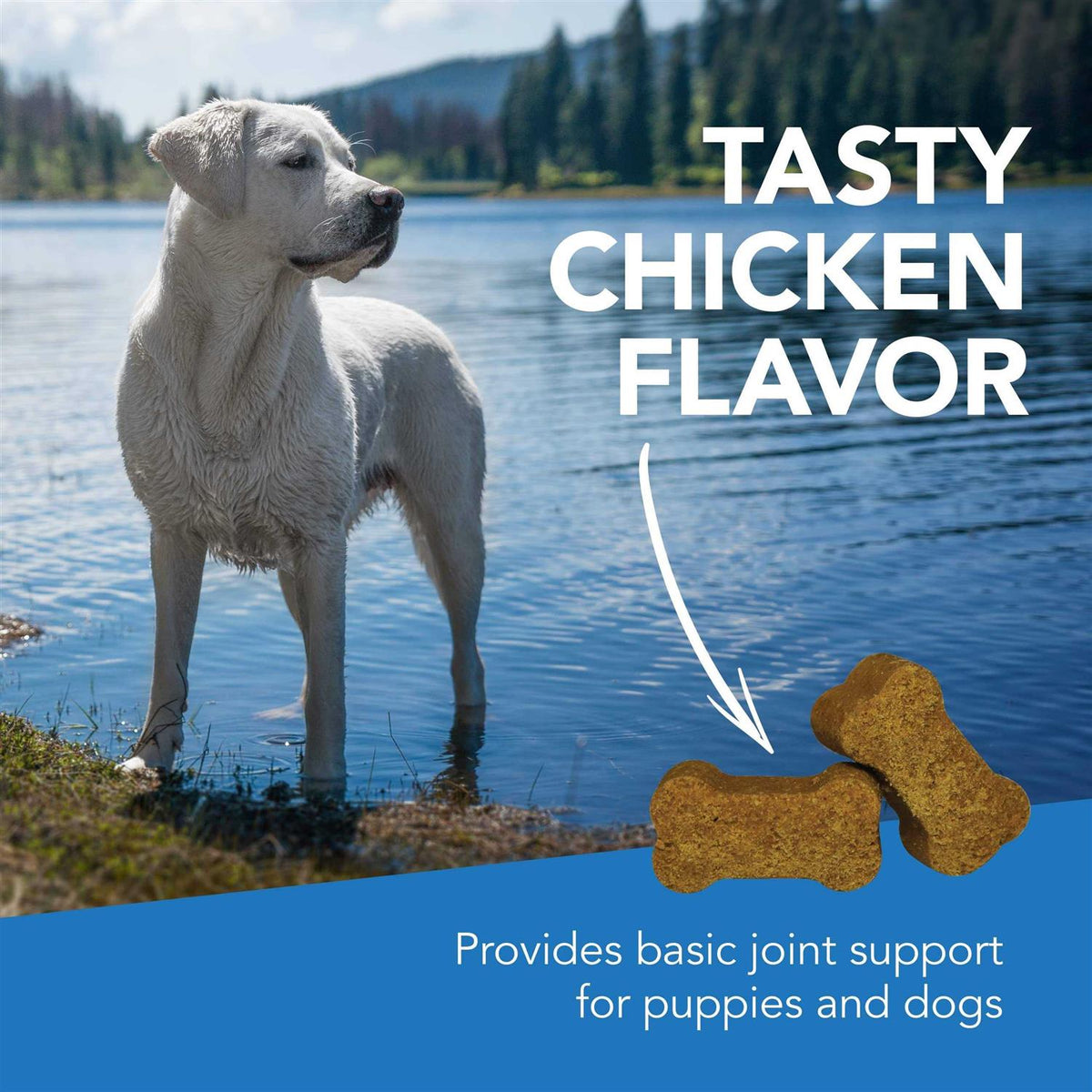Pet Supplies Y667776