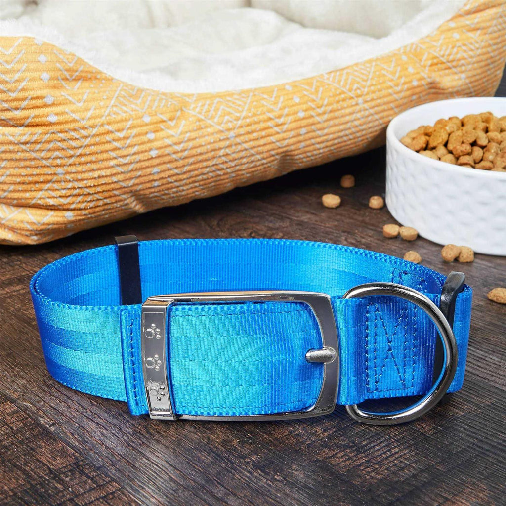 Solid Dog Collar with Metal Buckle A50439