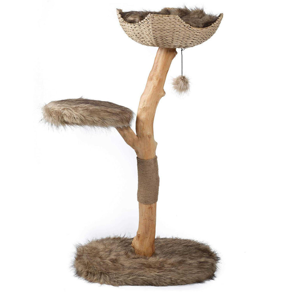 Cat Tree U4943