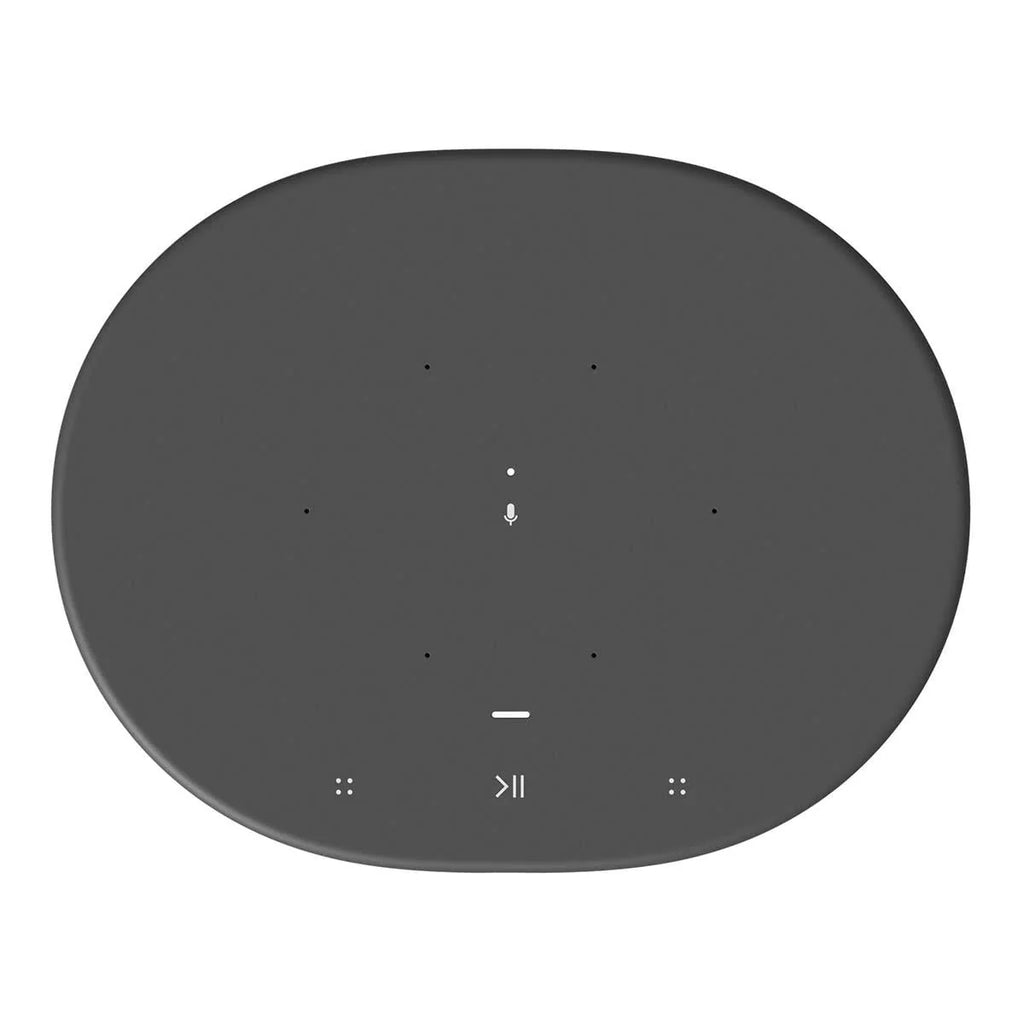 Portable Battery-Powered Bluetooth Wi-Fi Speaker I536