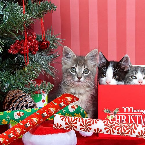 8 Pack Catnip Cat Toys with Bell Z5663