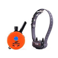 Remote Dog Training System D875