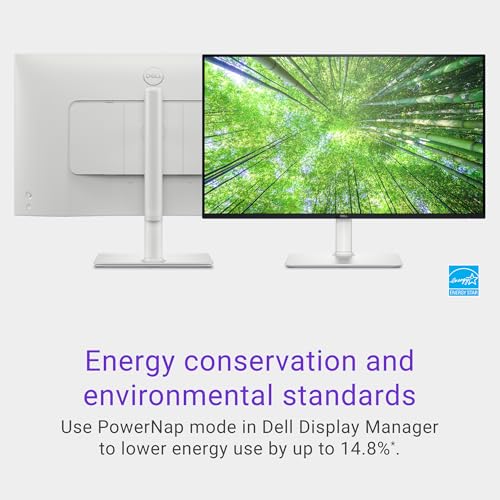 23.8 Inch FHD 100Hz Monitor with Speakers H5505