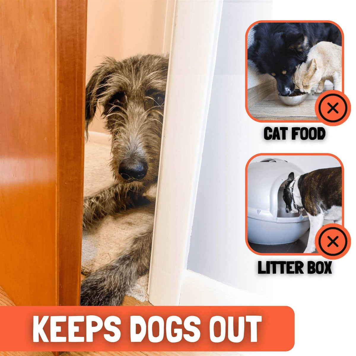 Cat Door Prop Z375