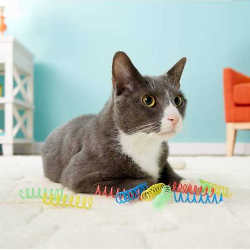 Colorful Springs Cat Toy H245