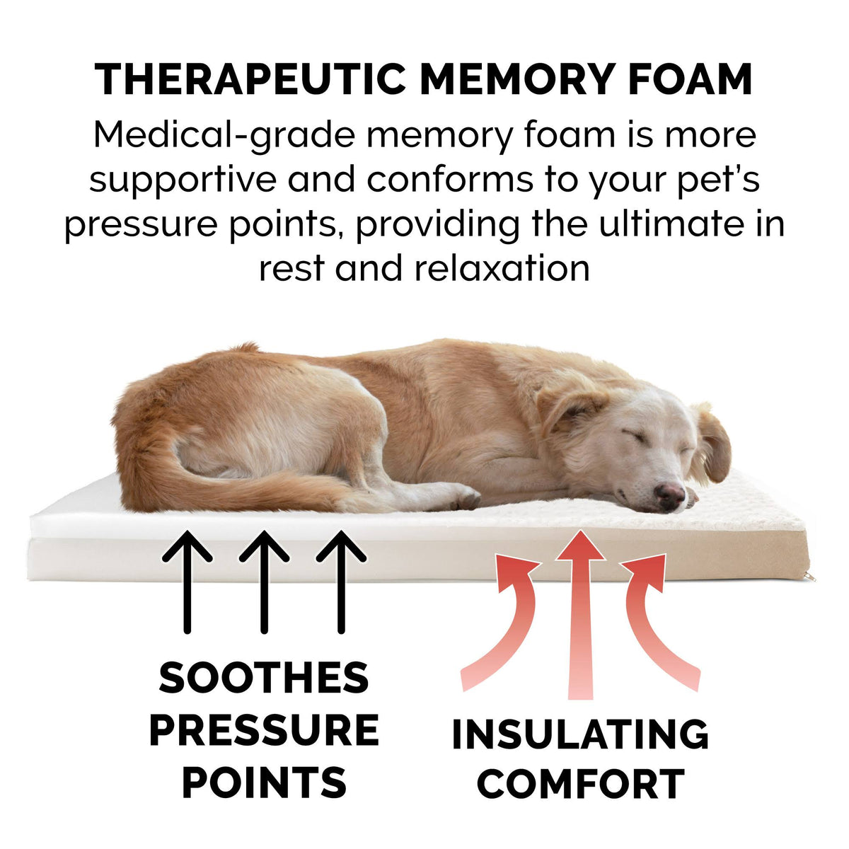 Memory Foam Plush Pet Bed A29922