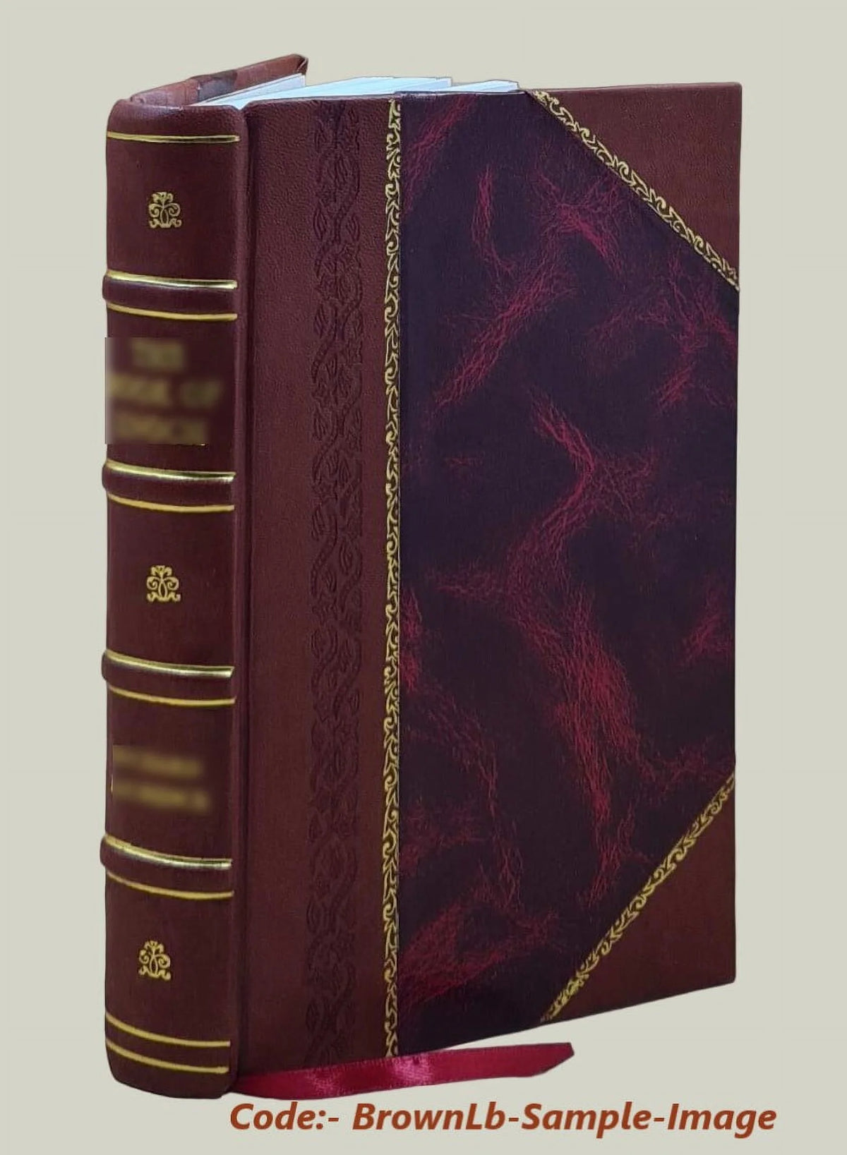 Leather Bound Book V41229